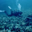 1er prix du Festival du film d’archéologie sous-marin de Port-Vendres 2018 1er prix du Festival du film d’archéologie sous-marin de Port-Vendres 2018
